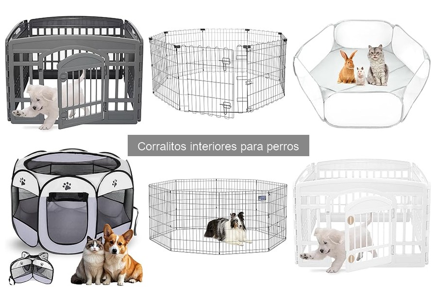 ¿Qué es un corralito interior para perros? Guía básica