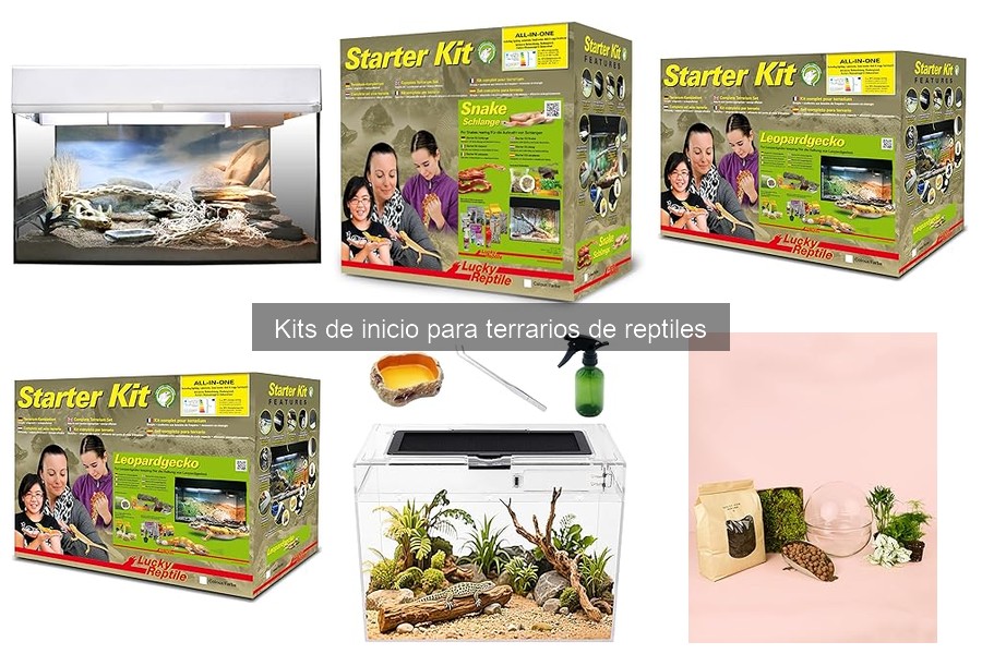 ¿Qué es un kit de inicio para terrarios de reptiles?