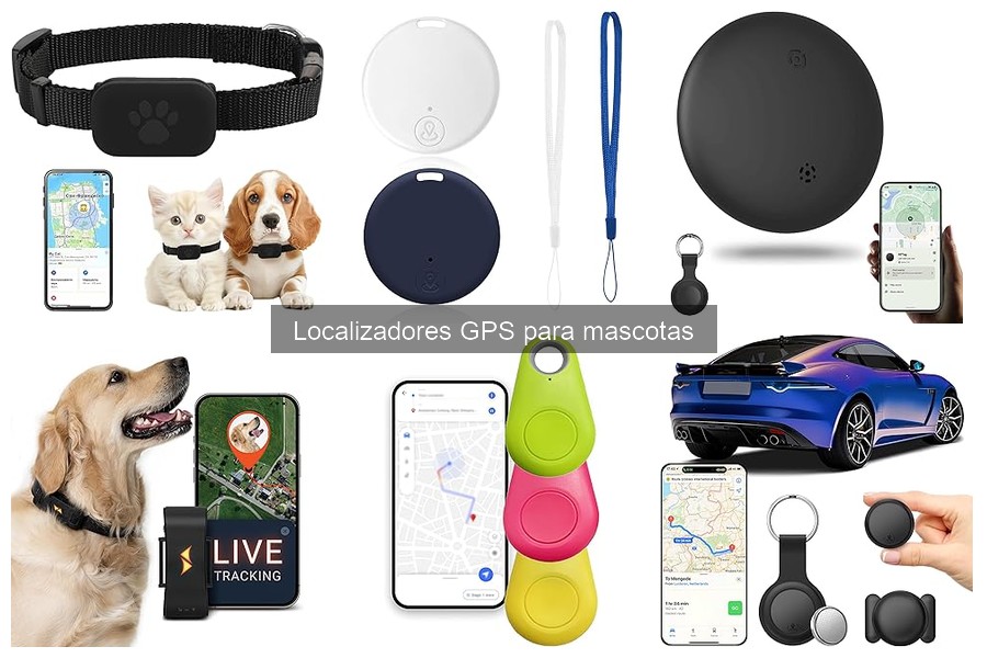 ¿Qué es un localizador GPS para mascotas? Guía básica