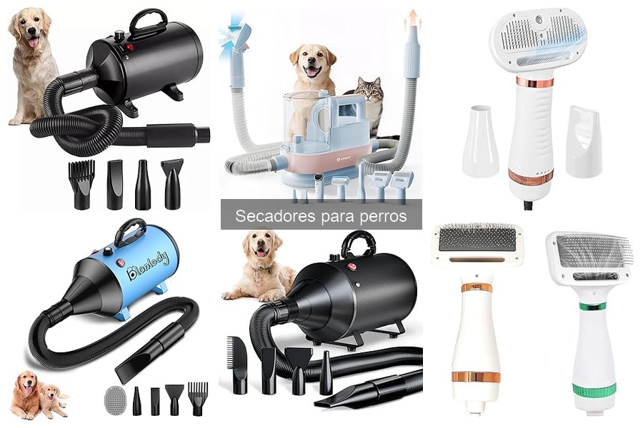 ¿Qué es un secador para perros? Beneficios y funciones
