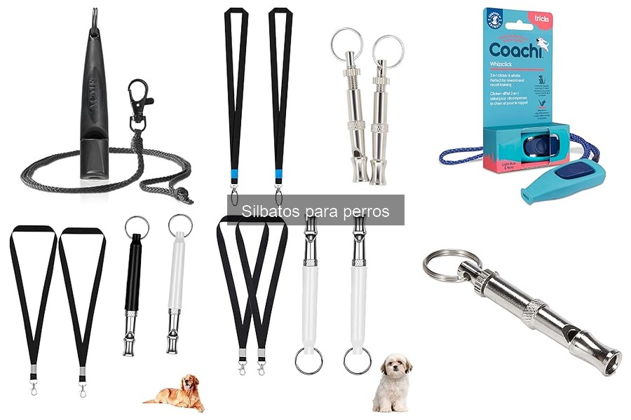 ¿Qué es un silbato para perros? Funcionamiento y tipos