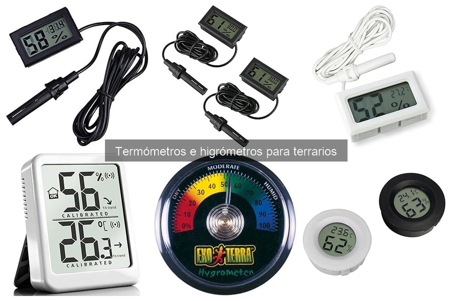 ¿Qué es un termómetro e higrómetro para terrarios?