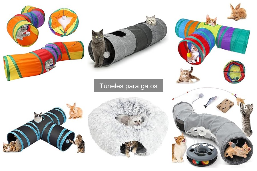 ¿Qué es un túnel para gatos? Beneficios y características