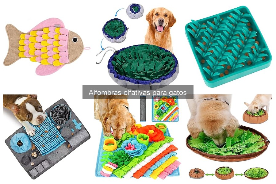¿Qué es una alfombra olfativa para gatos? Descúbrelo aquí