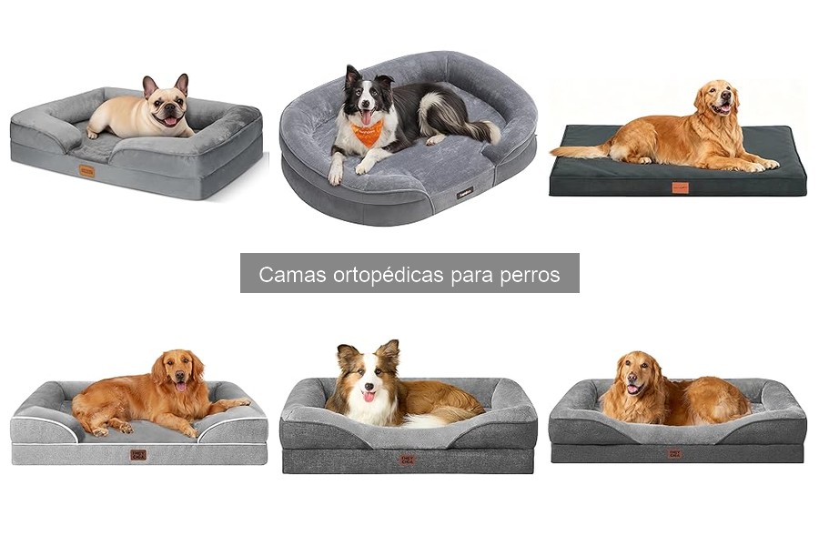 ¿Qué es una cama ortopédica para perros? Beneficios y características