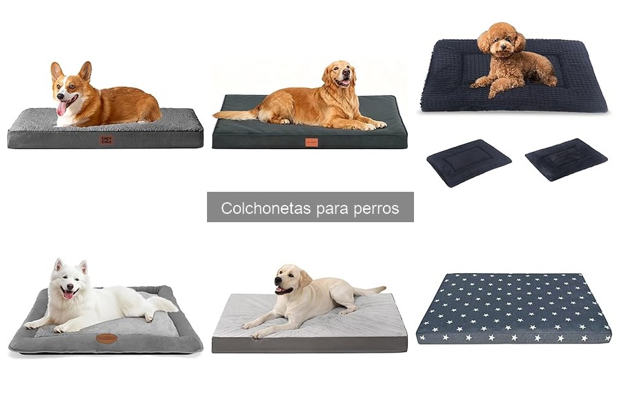 ¿Qué es una colchoneta para perros? Beneficios y características