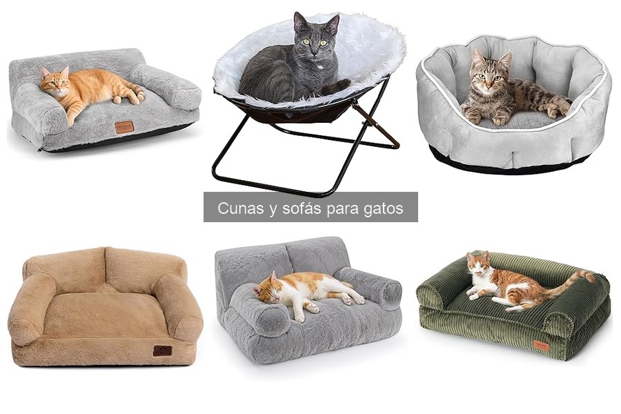¿Qué es una cuna para gatos? Características y beneficios