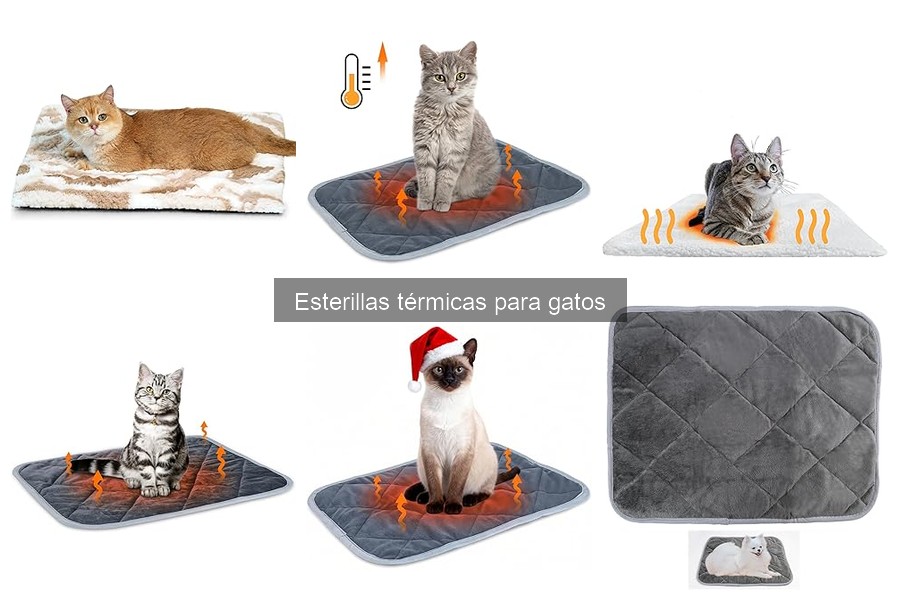 ¿Qué es una esterilla térmica para gatos? Descubre sus beneficios