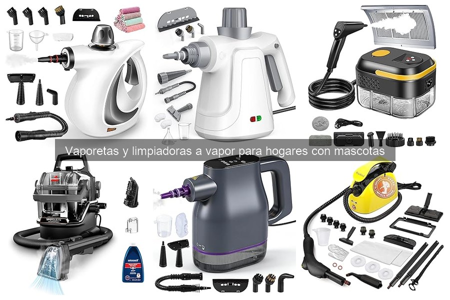 ¿Qué es una Vaporeta y Cómo Funciona? Guía para Hogares con Mascotas