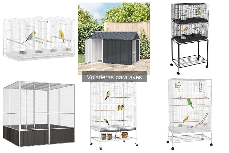 ¿Qué es una voladera para aves? Características y usos