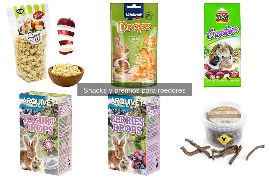 Qué evitar en la dieta de tu roedor: alimentos nocivos