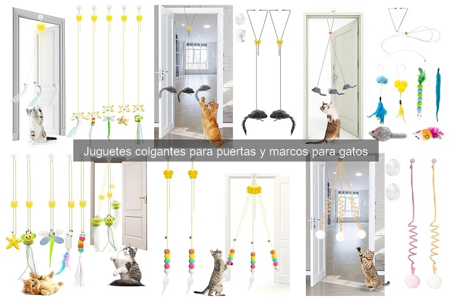 ¿Qué hacer si a mi gato no le interesa el juguete colgante?