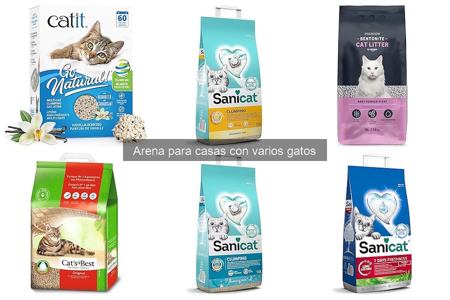 ¿Qué hacer si los gatos no aceptan la nueva arena?