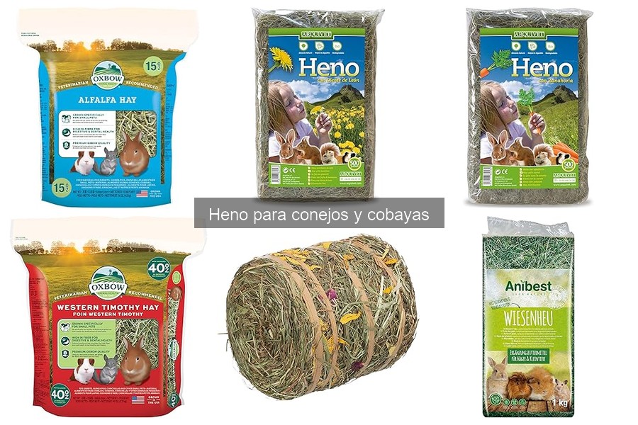 ¿Qué hacer si mi conejo o cobaya no quiere comer heno?