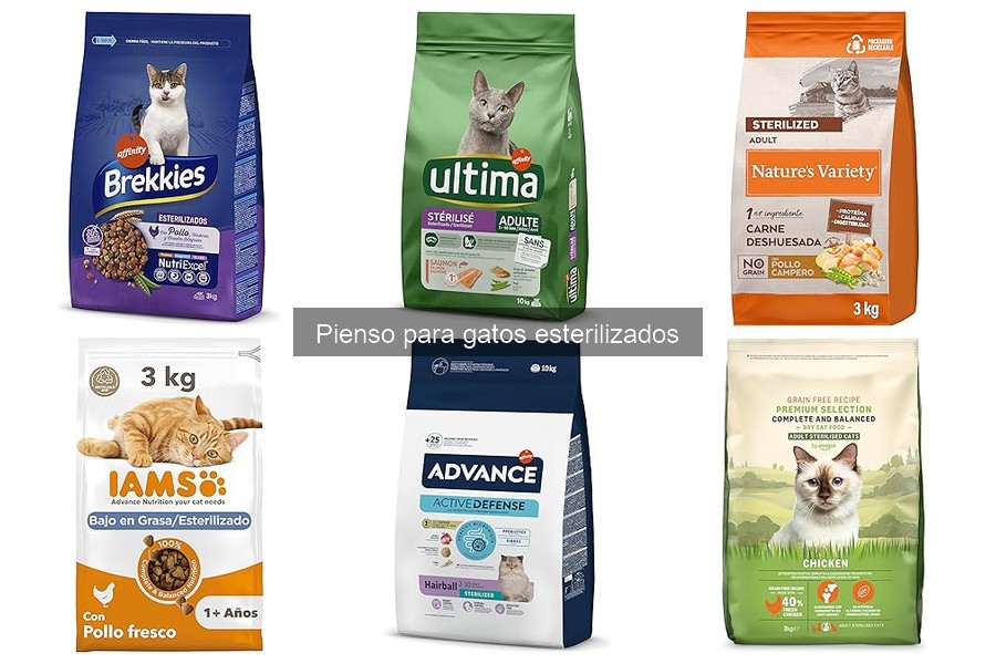 ¿Qué hacer si mi gato no acepta el pienso esterilizado?