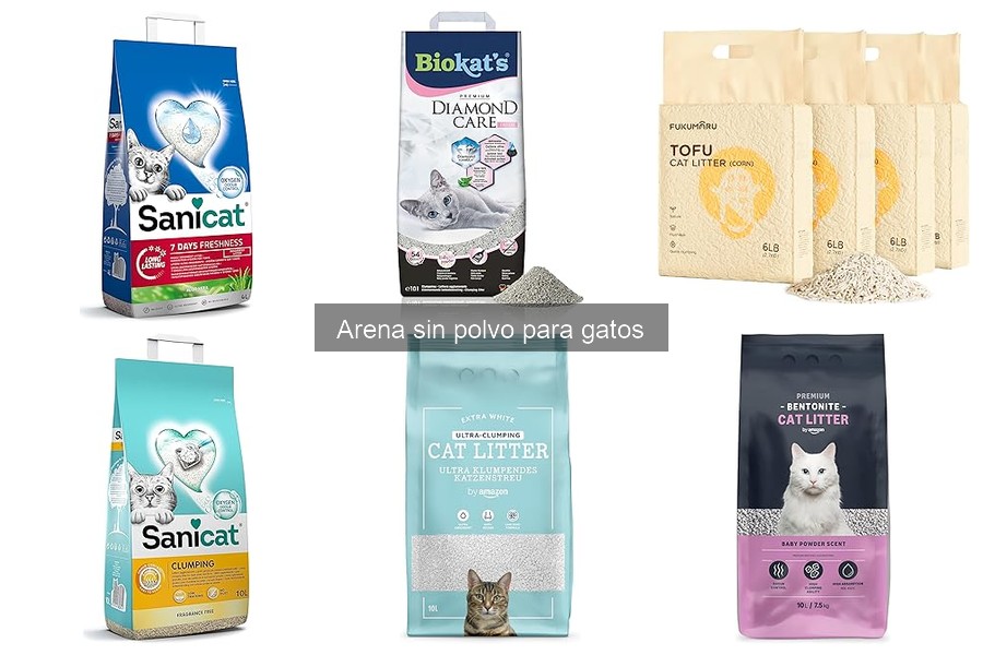 ¿Qué hacer si mi gato no acepta la arena sin polvo?