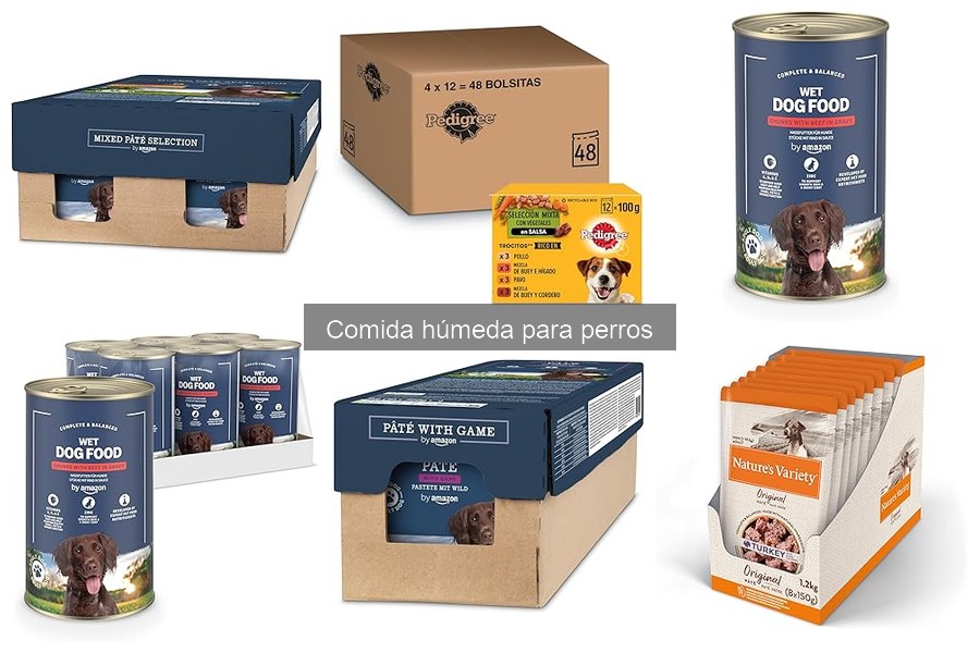 ¿Qué hacer si mi perro no quiere comer comida húmeda?