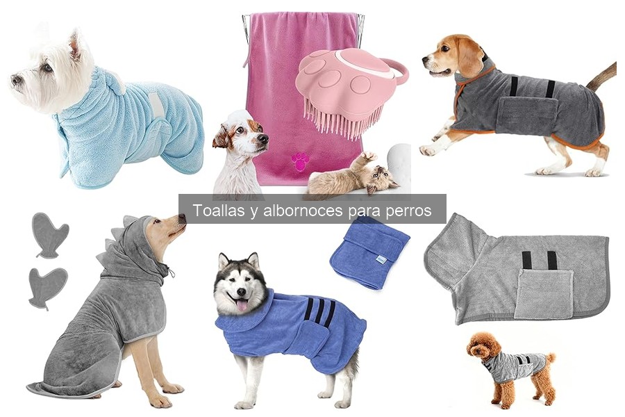 ¿Qué hacer si mi perro no se deja secar con la toalla?