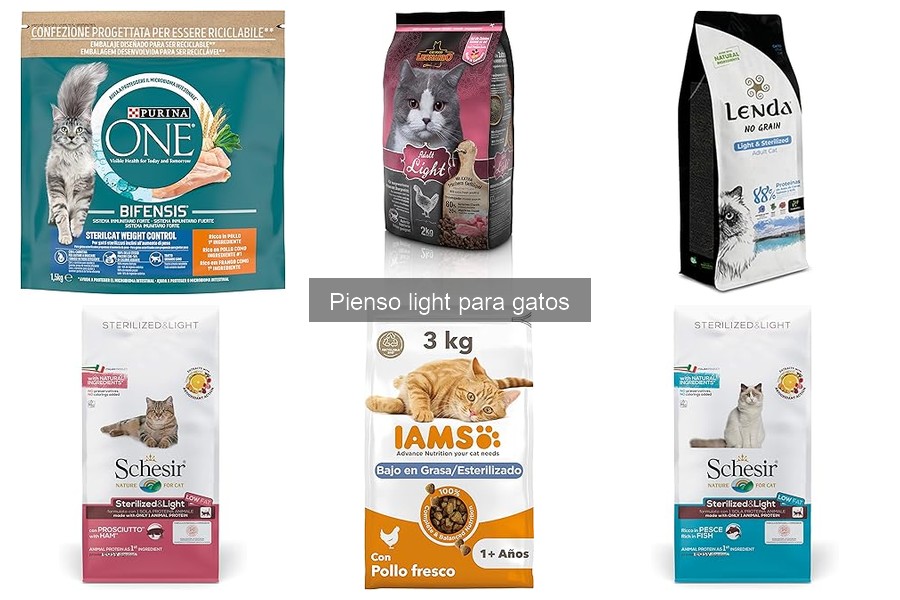 ¿Qué hacer si tu gato no acepta el pienso light?