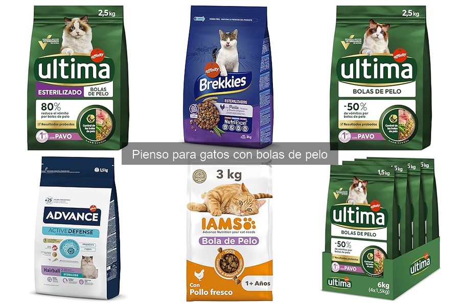 ¿Qué hacer si tu gato no quiere comer pienso para bolas de pelo?