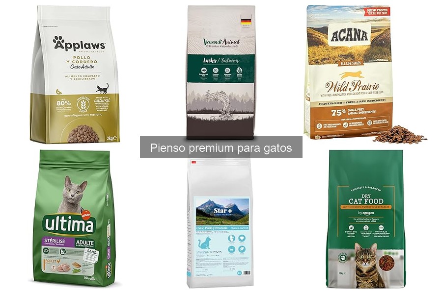 ¿Qué significa sin cereales en pienso premium para gatos?