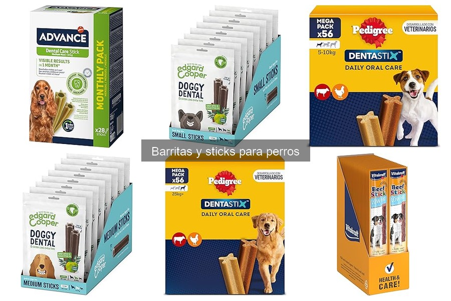 ¿Qué son las barritas y sticks para perros? Guía rápida