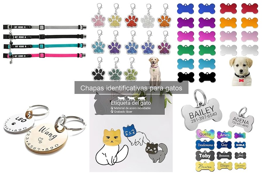 ¿Qué son las chapas identificativas para gatos? Descubre su importancia