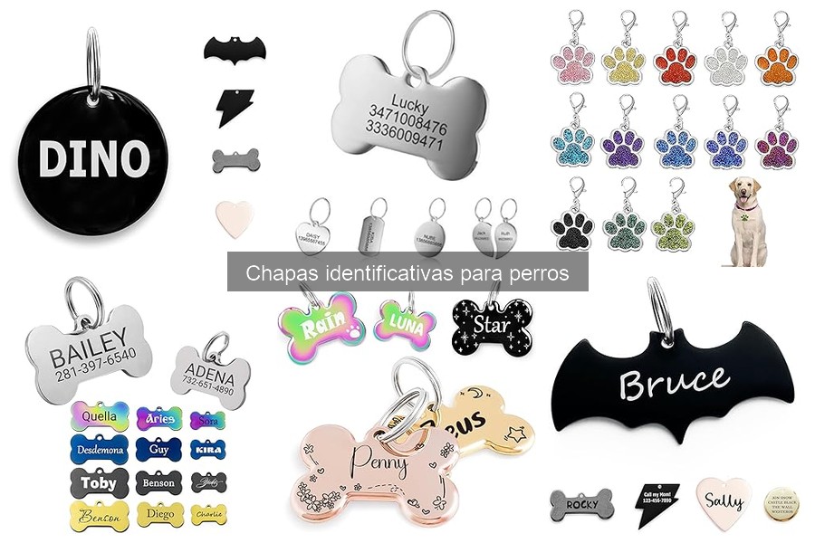 ¿Qué son las chapas identificativas para perros?