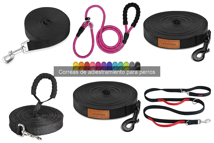 ¿Qué son las correas de adiestramiento para perros?