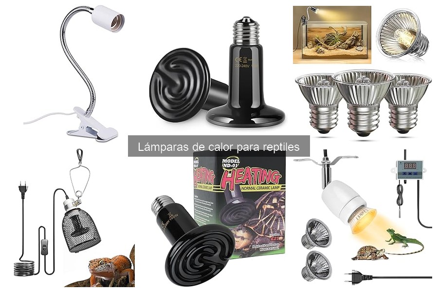 ¿Qué son las lámparas de calor para reptiles? Guía esencial