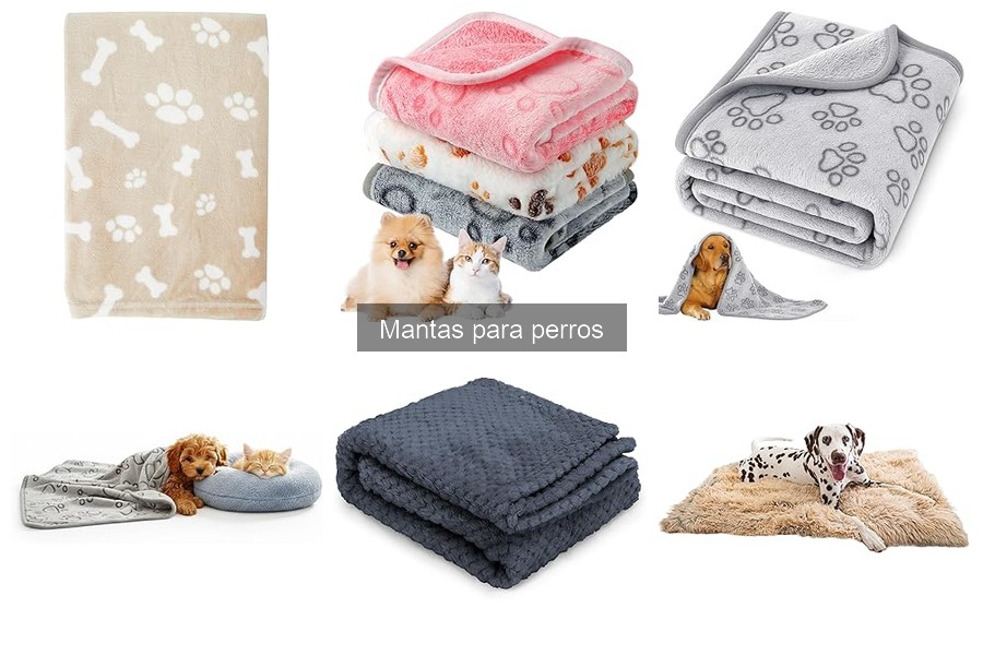 ¿Qué son las mantas para perros? Conoce sus beneficios