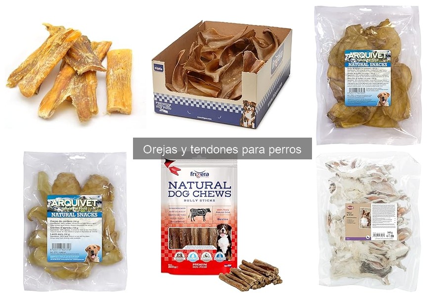 ¿Qué son las orejas y tendones para perros? Descubre sus beneficios