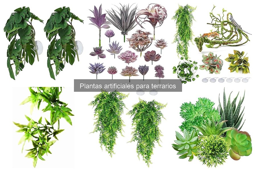 ¿Qué Son las Plantas Artificiales para Terrarios?