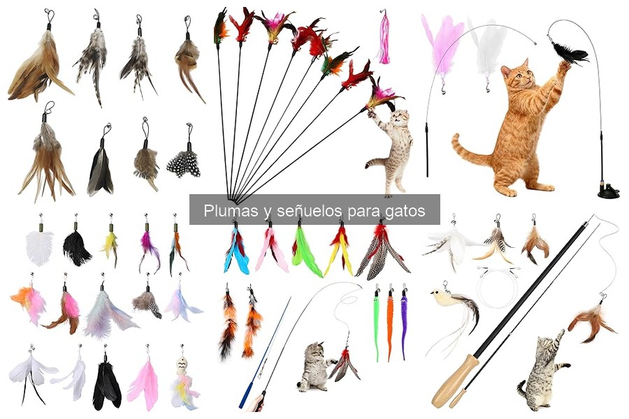 ¿Qué son las plumas y señuelos para gatos? Guía completa