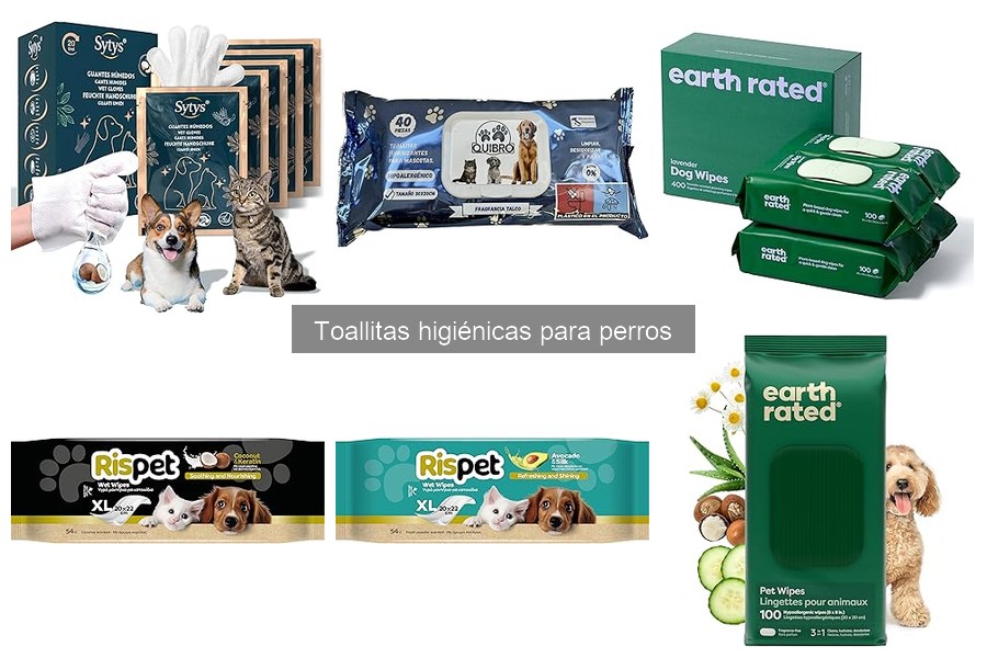 ¿Qué son las toallitas higiénicas para perros? Descubre su uso