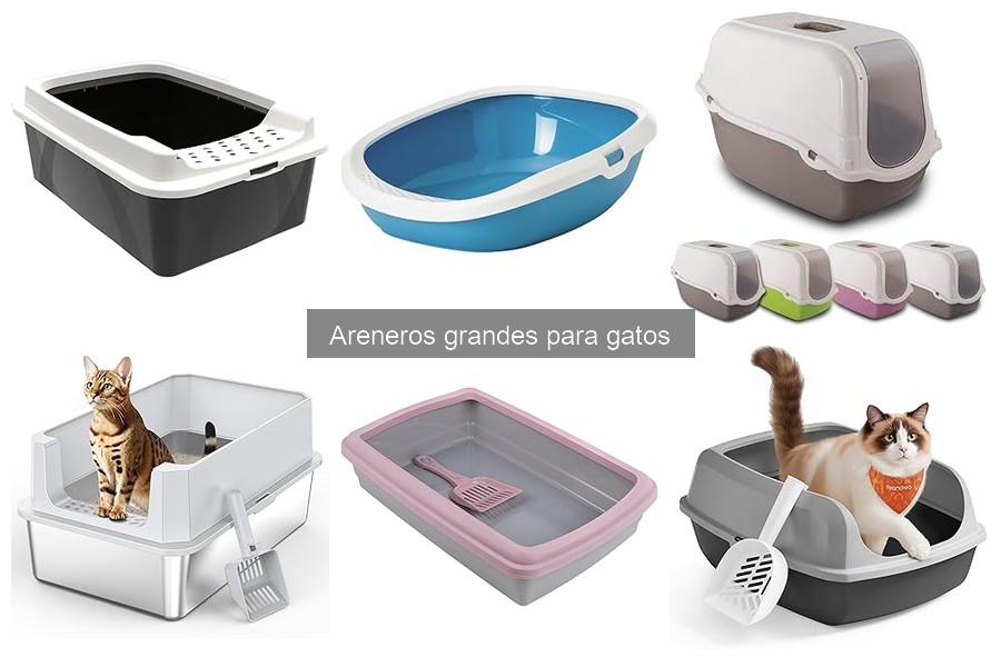 ¿Qué son los areneros grandes para gatos? Descúbrelos aquí