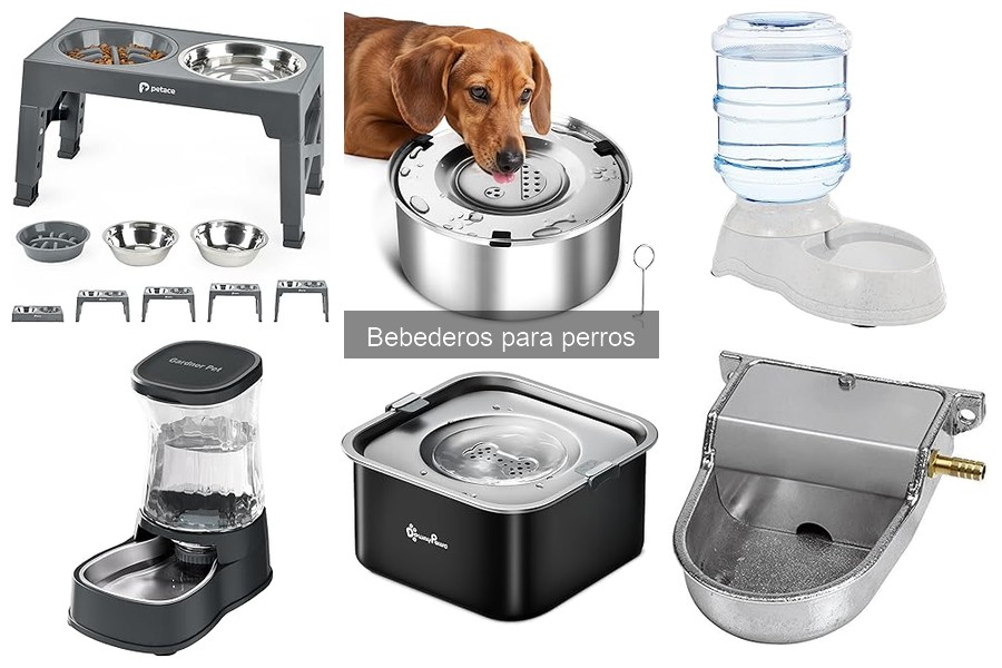 ¿Qué son los bebederos para perros? Guía básica