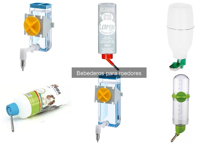 ¿Qué son los bebederos para roedores? Guía completa