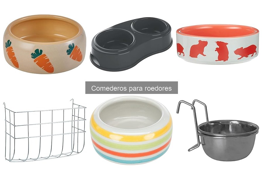 ** ¿Qué son los comederos para roedores? Guía completa
