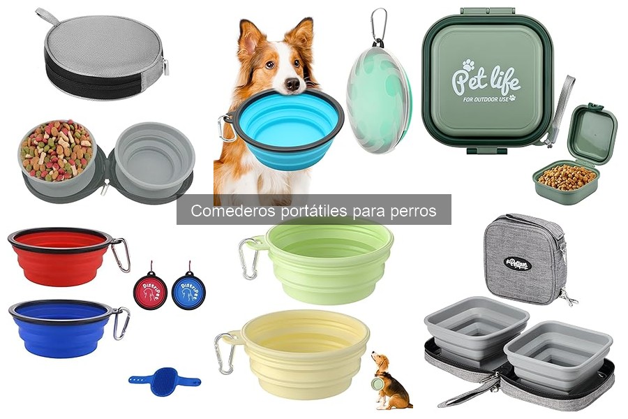 ¿Qué son los comederos portátiles para perros?