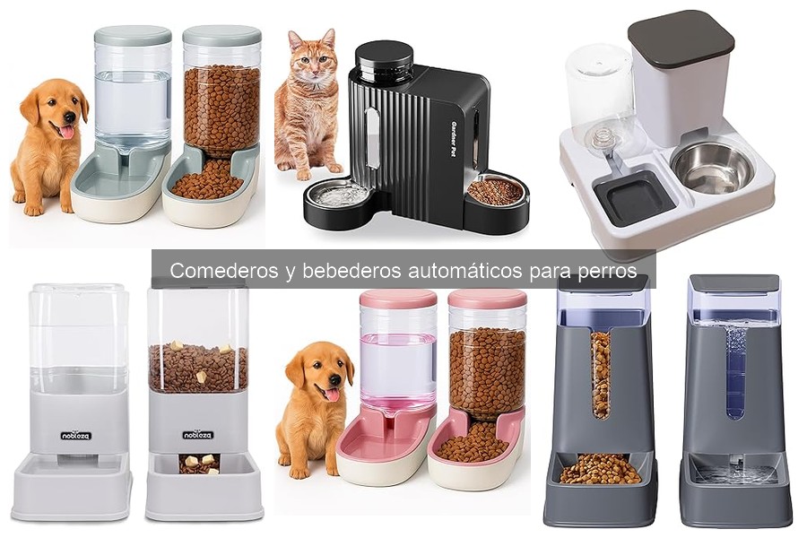 ¿Qué son los comederos y bebederos automáticos para perros?