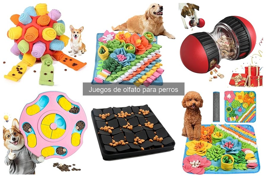 Qué son los juegos de olfato para perros y sus beneficios