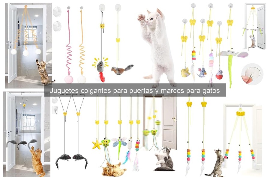 ¿Qué son los juguetes colgantes para gatos? Descúbrelos aquí