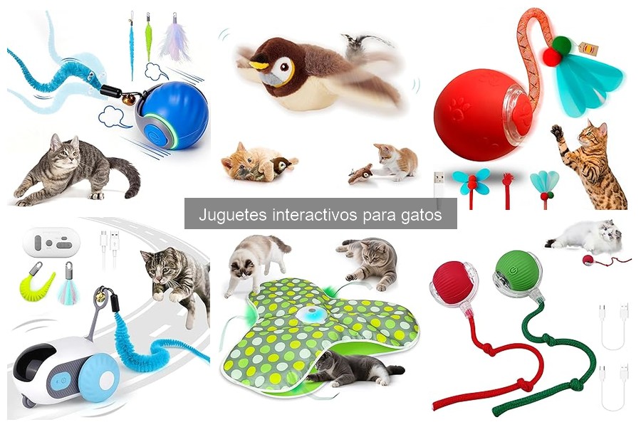¿Qué son los juguetes interactivos para gatos?