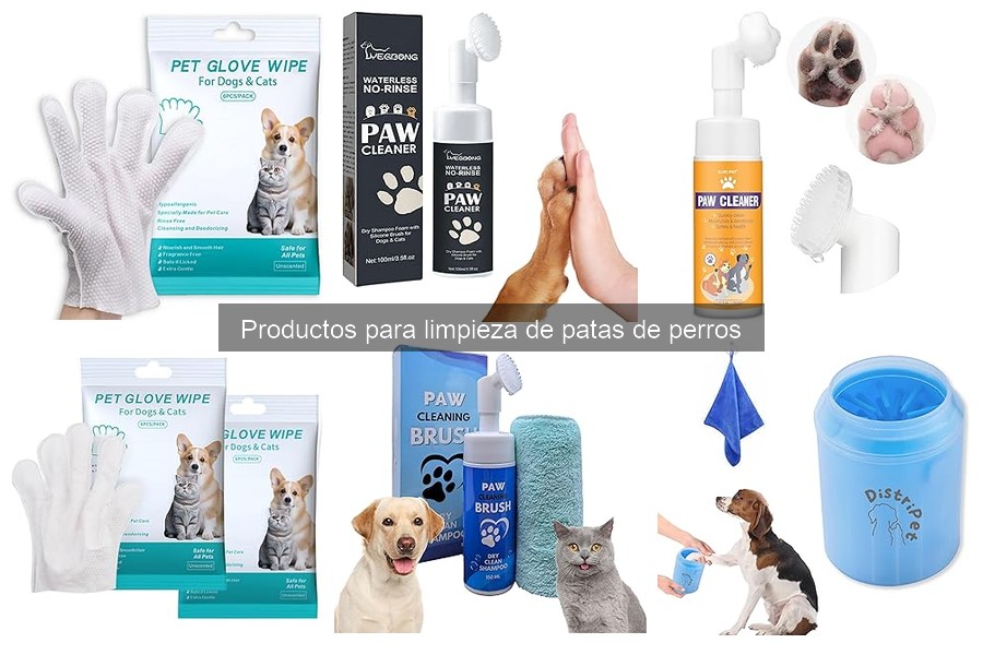 ¿Qué son los limpiapatas para perros? Guía esencial