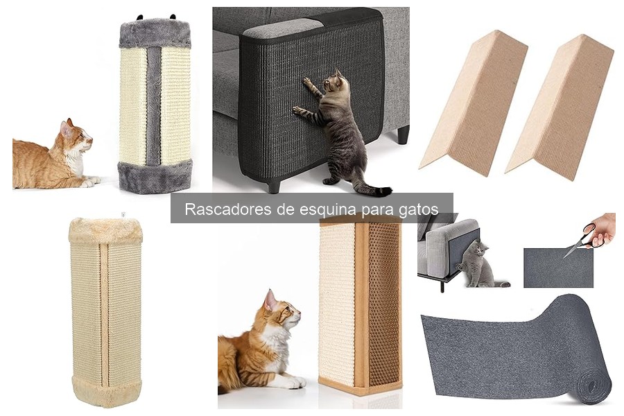 ¿Qué son los rascadores de esquina para gatos? Beneficios y más