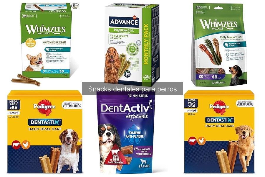 Qué son los snacks dentales para perros: Beneficios y tipos