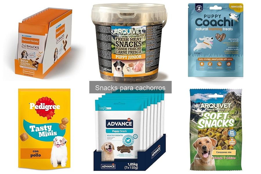 ¿Qué son los snacks para cachorros? Guía completa