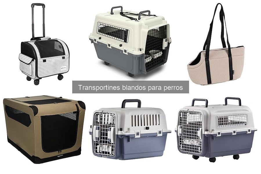 ¿Qué son los transportines blandos para perros? Características y beneficios