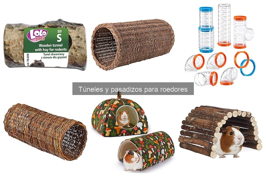 ¿Qué son los túneles y pasadizos para roedores?